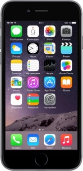 Мобильный телефон Apple iPhone 6 16GB (серый космос)